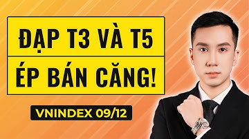 Thử Thách Nhà Đầu Tư: Cổ Phiếu Đang Chờ Đợi Điều Gì?