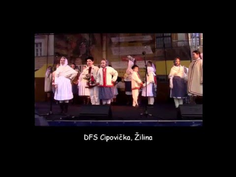 DFS Cipovička zo Žiliny