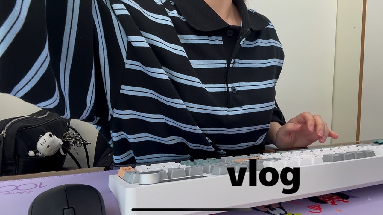 vlog) 직장인 브이로그, 회의할 때마다 냅다 연차 갈김ㅣ왕사남 혼영🥨