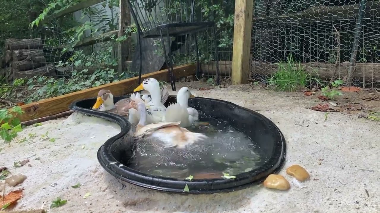 POV: Sitting in the Splash Zone!