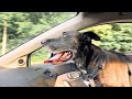 Melodramatic - Valley Boy (Official Video)