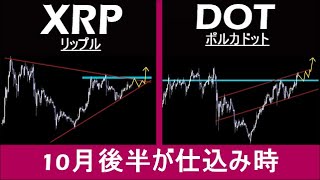 【XRP×DOT】こうなれば10月後半に仕込む優位性あり。リップル・ポルカドットの今後の着目ポイント。