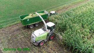 Maishäckseln 2018 Teil 3 LU Krumm mit Claas Jaguar, JCB, Fendt 820, Deutz [4K]