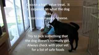 Desensitization and Counter Conditioning