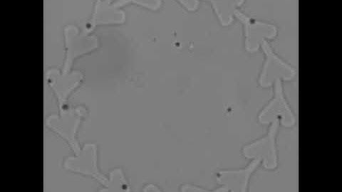 IBEC] Smart nano-bio-devices group - Directed Flow of Micromotors through Alignment Interactions