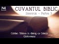 Cătălin Crîstoveanu | Smerenia 3