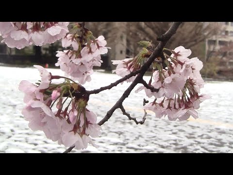 「三月」～フルート、オーボエ、ピアノ及び独唱のための