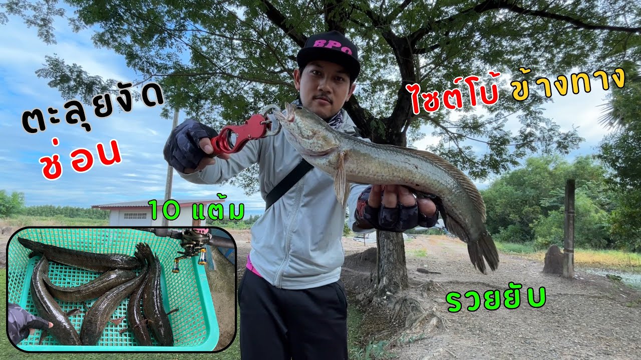 ตะลุยงัดปลาช่อนไซต์โบ้ข้างทาง 1 วัน 10 แต้ม