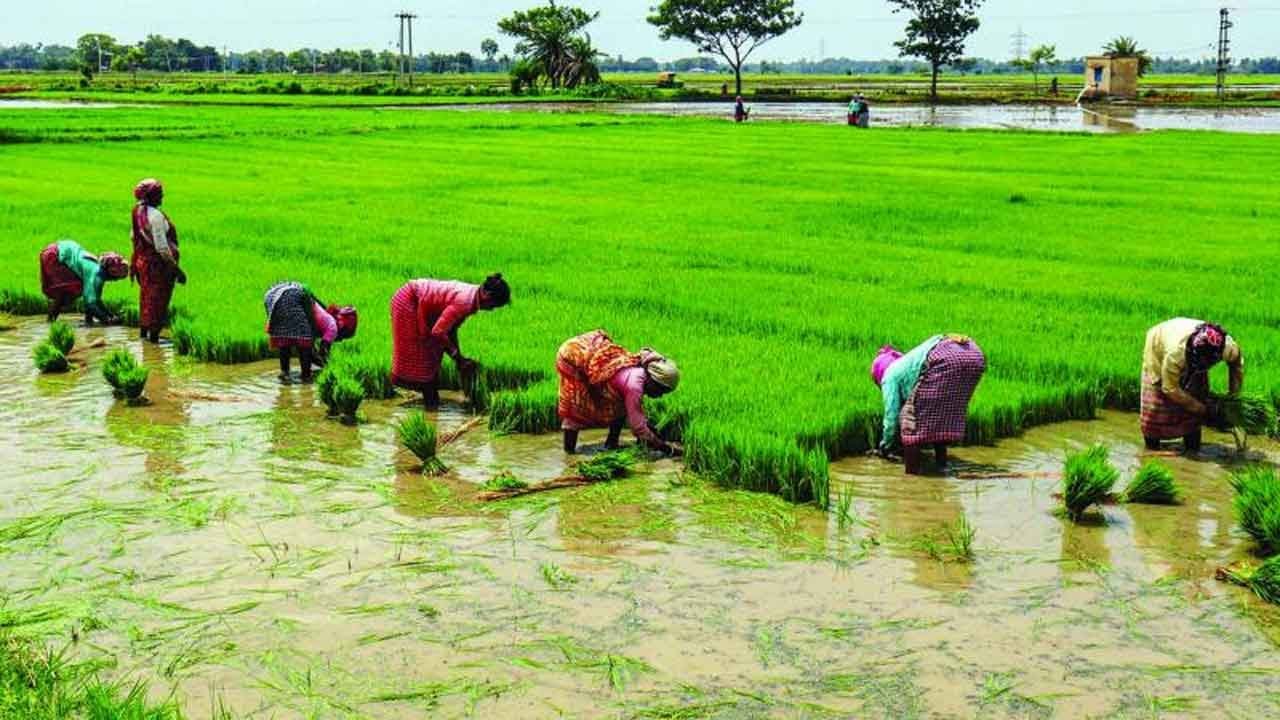 AP Govt. Disburses Money Into Rain Hit Farmers Accounts | Rythu  