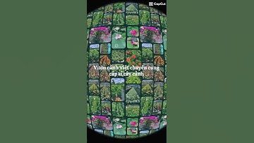 Cung cấp hoa cây cảnh giá sỉ cạnh tranh nhất, chất lượng nhất