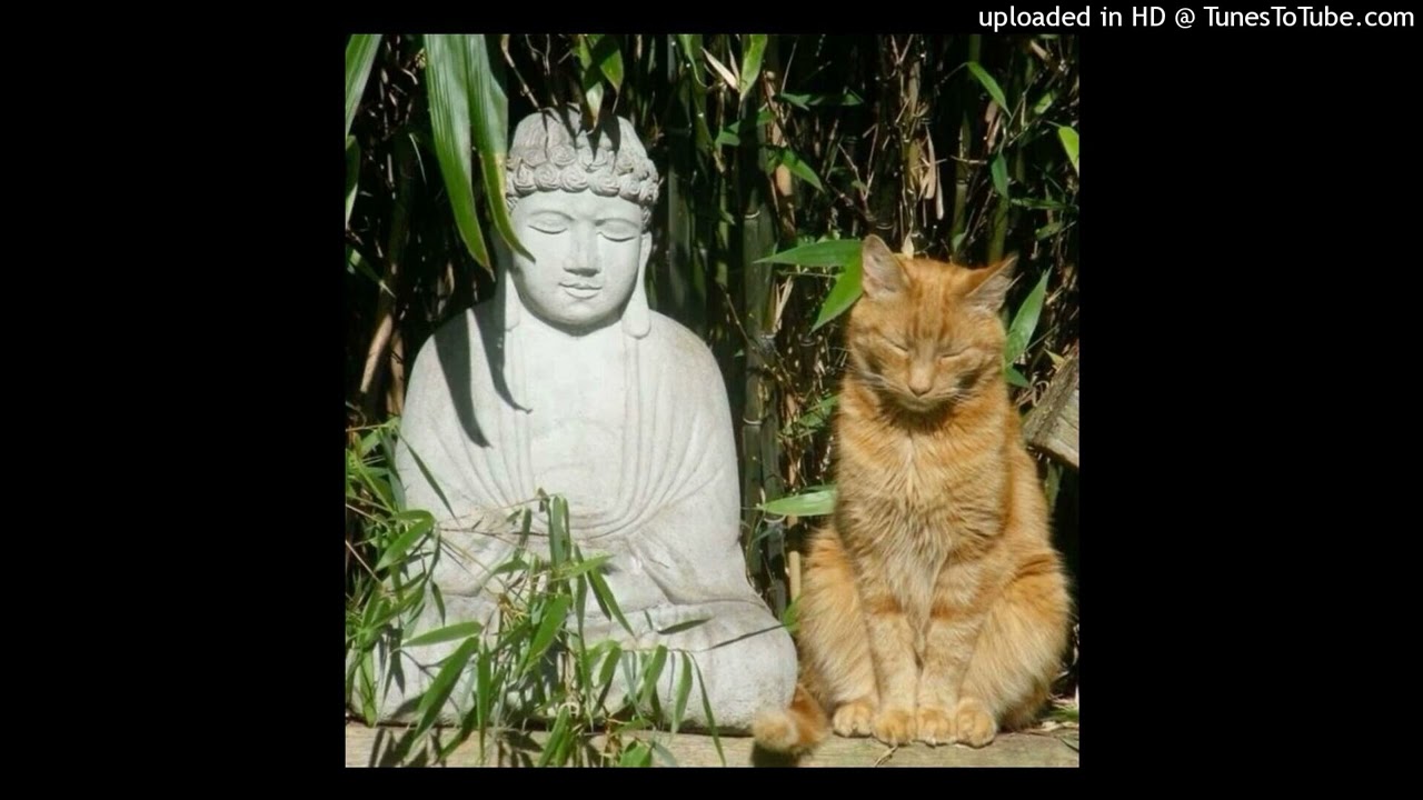 boolymon + exzyen x tdf  type beat