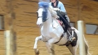 “Suzie” Suzie Q - 13 y/o 14hh Pinto Sportpony - Jumping Schooling - Early March 2025