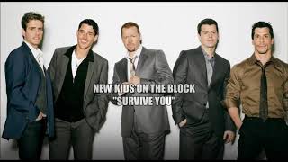 New Kids On The Block - Survive You (Subtitulado en Español)