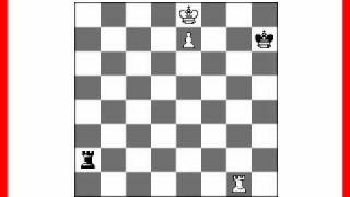 Rook Endgame And Building A Bridge