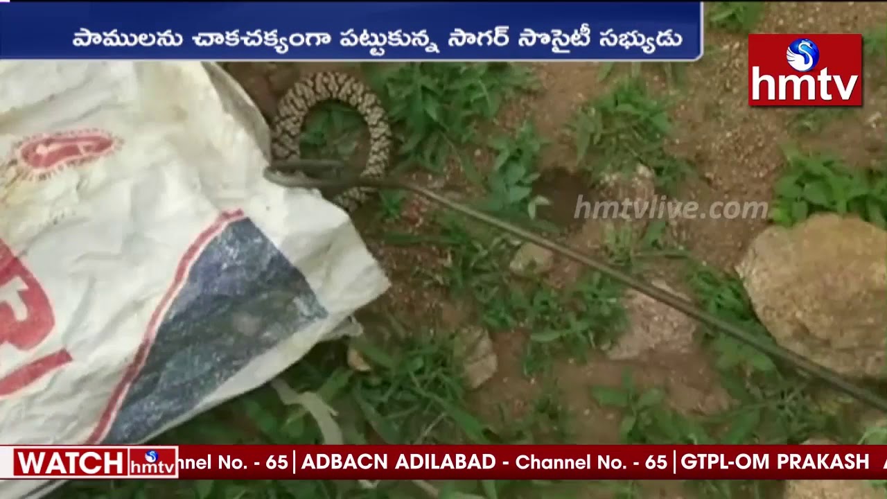 14 Snakes Hulchul in House | Wanaparthy District | hmtv