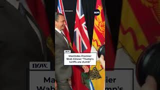 Manitoba Premier Wab Kinew: Trump's tariffs are dumb