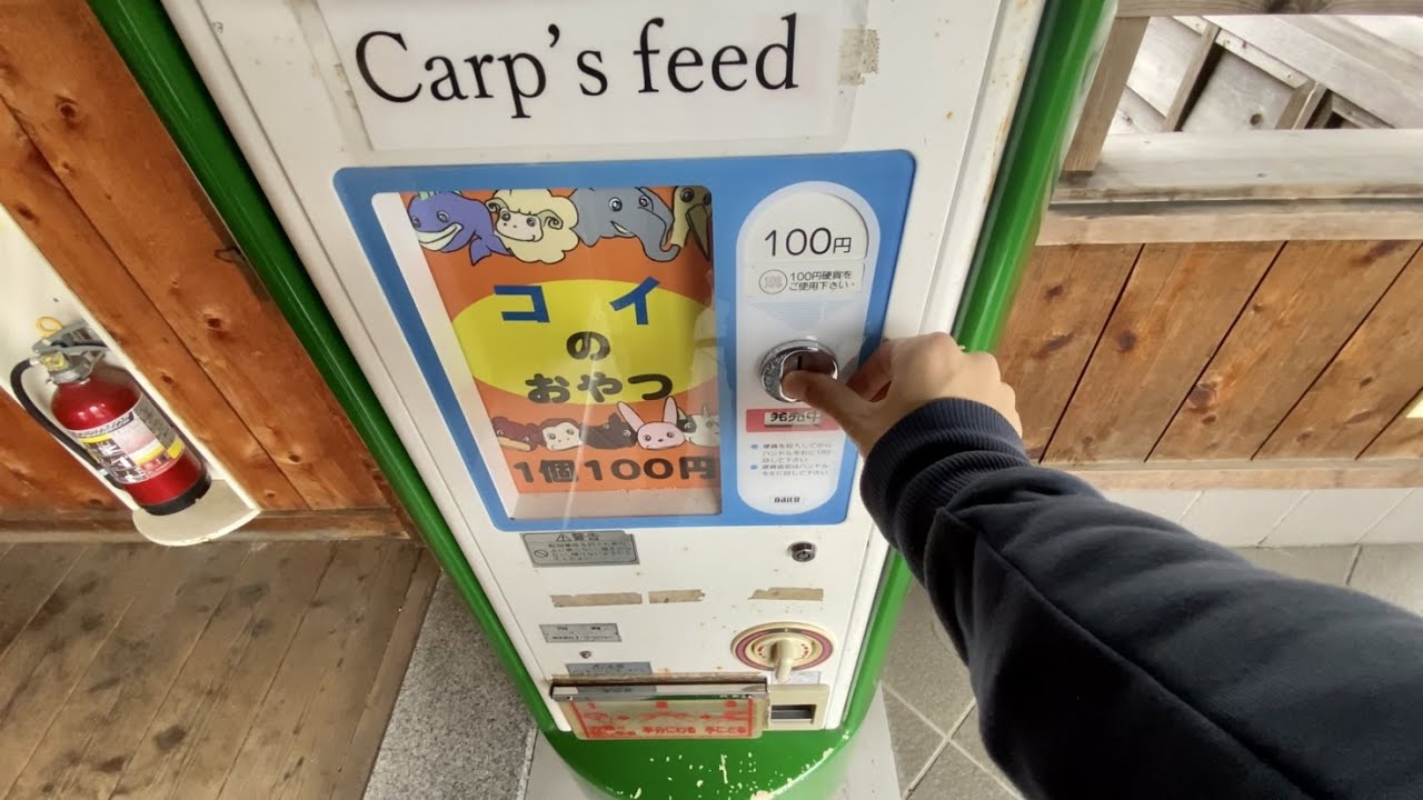 Koi Pond Fish Food Vending Machine in Japan YouTube