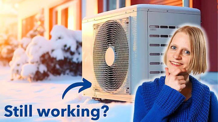Do AIR SOURCE-HEAT PUMPS work in cold climates? (Do they really work?)