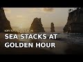 Sea Stacks at Golden Hour 🌅 Lofi to Study & Focus 🎵 dramatic-coast ambience