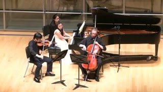 Schubert Piano Trio No. 2 In E Flat Major, Op. 100, D929 1St Movement