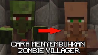 CARA MENYEMBUHKAN ZOMBIE VILLAGER DI MINECRAFT