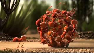 The Power of Teamwork   Funny Animation