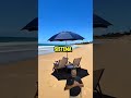 guarda sol muito top pra você que gosta de ir a praia #shorts