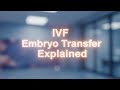 I V F Embryo  Transfer Explained  | Body Arts Anatomy 3D 