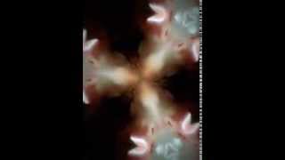 One tin soldier Billy Jack kaleidoscope tribute