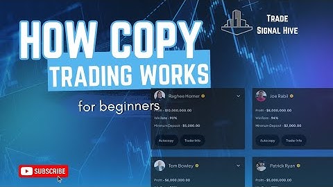 How Copy Trading Works For Beginners - Trade Signal Hive