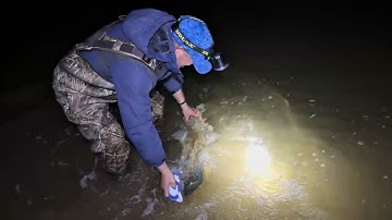 Đi Câu Striper Mùa Thu Và Cái Kết Bất Ngờ!