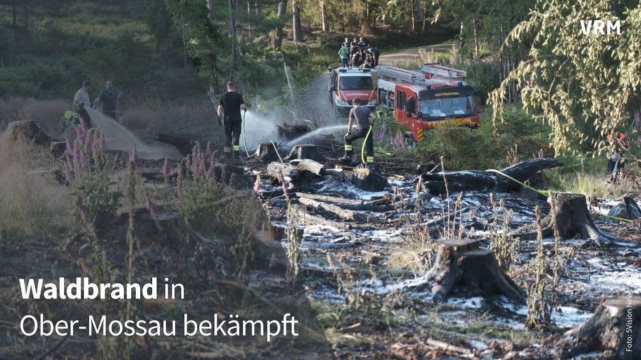 Waldbrand in Ober-Mossau auf gerodeter Fläche ausgebrochen