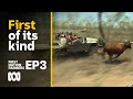 Cowboy heroes: wild times on Indigenous cattle station | First Nation Farmers Ep3 | ABC Australia