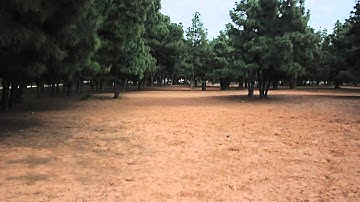 Explosion (blast wave tutorial in videocopilot)