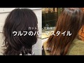 Sinoカットパーマ勉強会 ウルフのパーマスタイル hairmakesino代表 篠崎正