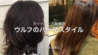 Sinoカットパーマ勉強会 ウルフのパーマスタイル hairmakesino代表 篠崎正