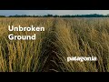 Unbroken Ground | A New Old Way to Grow Food