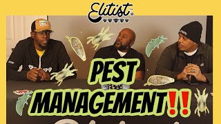 What Kills Spider mites and other Cannabis Pest
