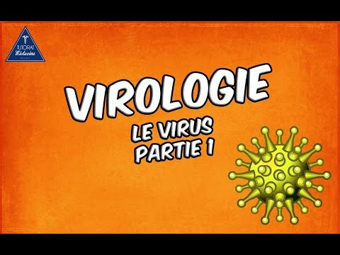 01 - Le Virus - Partie 1