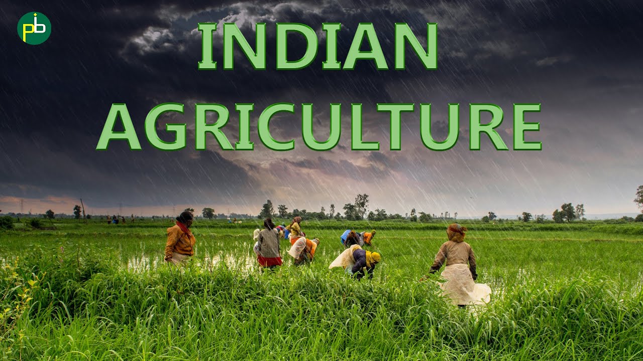 Indian Agriculture | भारतीय कृषि | Economics | Indian Economy | UGC, SSC, UPSC, GK | PanaceaTutor