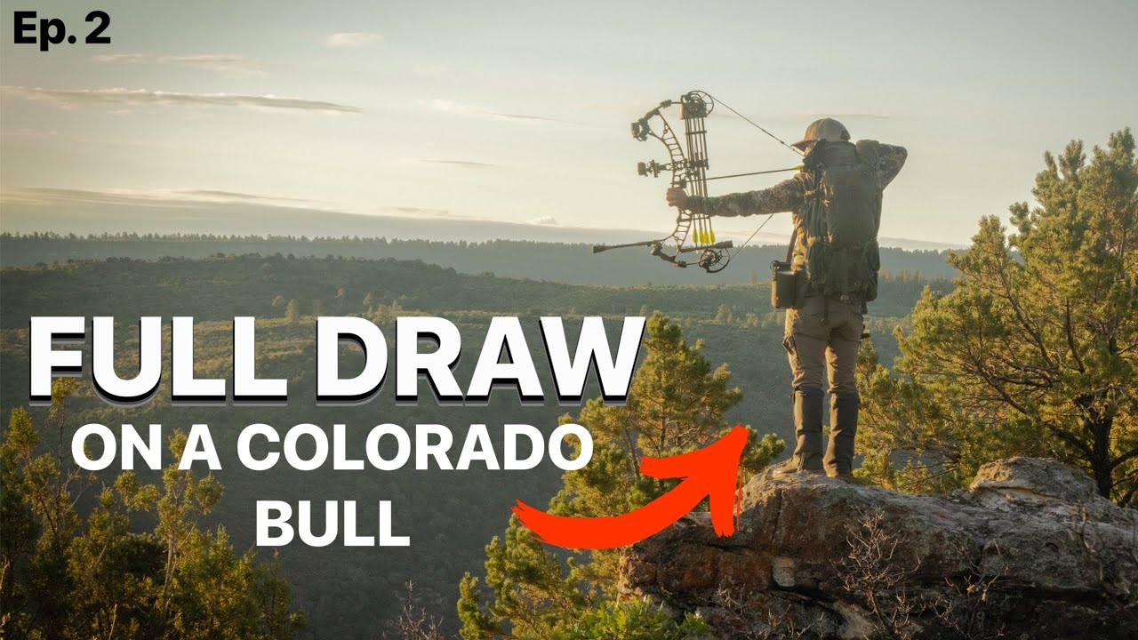 FULL DRAW at 40 yards… // Colorado Archery Elk YouTube