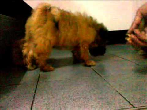 3ทหารเสือ.mp4