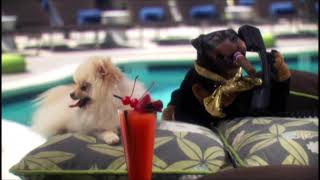 Spongebob Music - Glamour Party