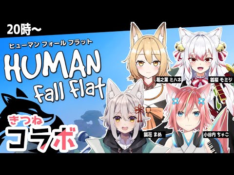 【human fall flat】狐たちによるコラボ配信！皆はモフらずにいられるかな？～(＾*ﾟ∀ﾟ＾)