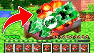 How to play PREGNANT CREEPER in Minecraft! Real life family CREEPER! Battle NOOB VS PRO Animation by Object Events. 30,786 views 3 years ago 10 minutes, 3 seconds