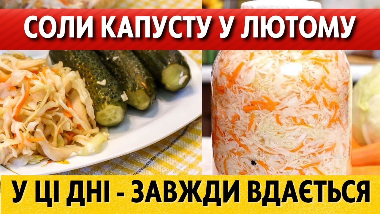 СМАКОТА! Лютий 2026 – коли солити та квасити капусту за місячним календарем