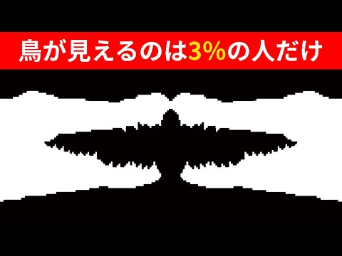 錯視テストで性格が分かる！？