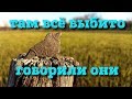 выбитых мест не бывает