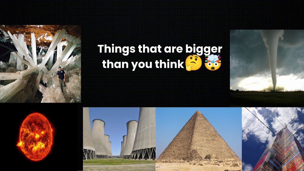 🌍 Biggest Things in the World That Are Bigger Than You Think! 😱 | Mind