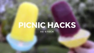 Top 5 Essential Need to Know Family Picnic Hacks!